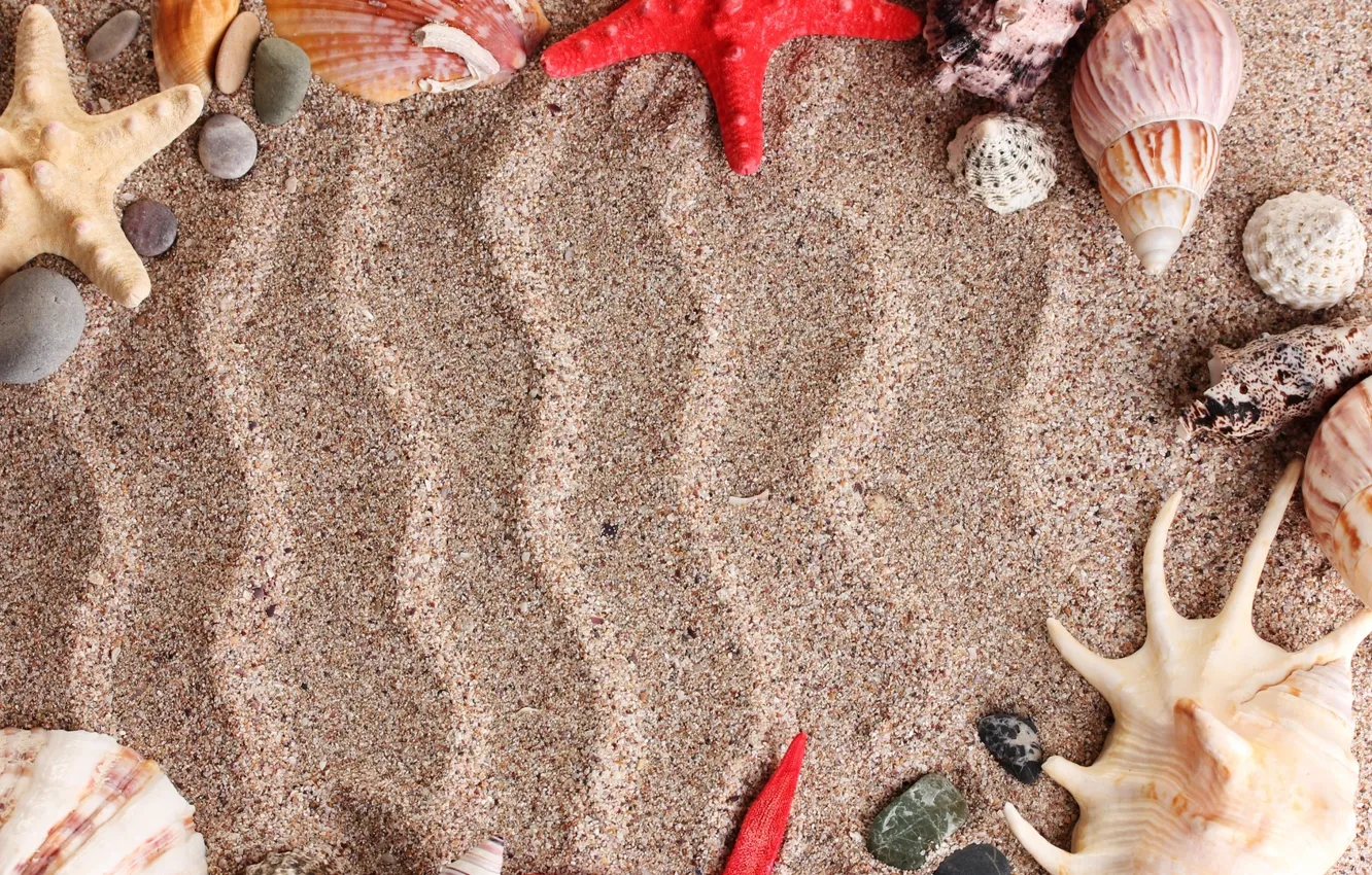 Photo wallpaper sand, sea, beach, summer, stars, stones, patterns, shell, sea, shell