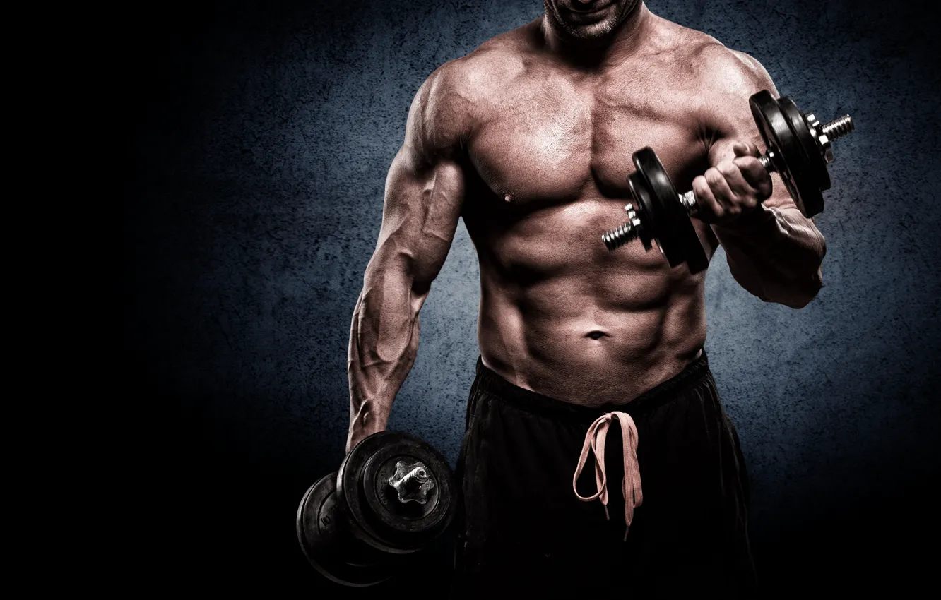 Wallpaper muscle, man, gym, bodybuilder, barbell images for desktop,  section мужчины - download