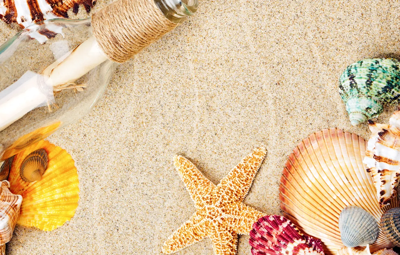 Photo wallpaper sand, beach, shell, sand, starfish, seashells