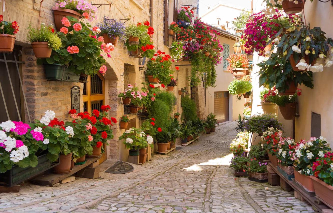 Photo wallpaper flowers, the city, Greece