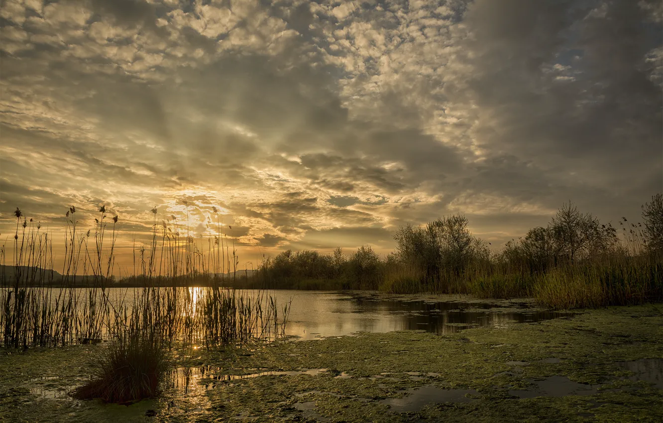 Photo wallpaper The sun, Water, Nature, Clouds, Lake, Trees, Dawn, Rays
