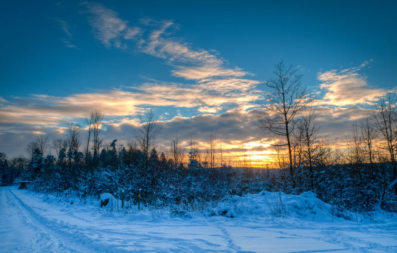 Photo wallpaper winter, road, the sky, clouds, snow, trees, sunset, nature, path