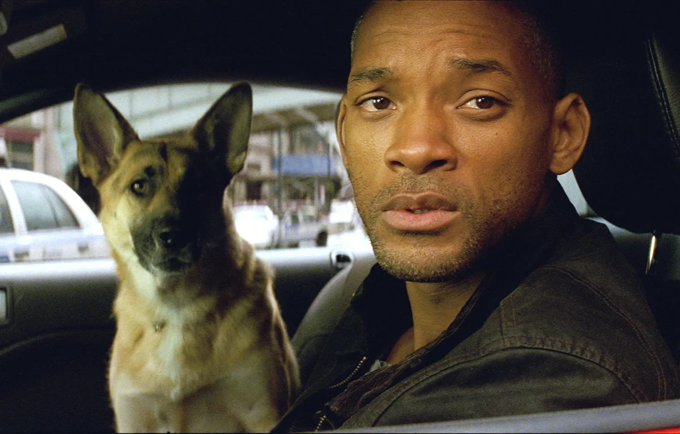 Wallpaper Will Smith, Sam, I Am Legend, Will Smith, Abby, Abby, Robert  Neville, I am legend images for desktop, section фильмы - download