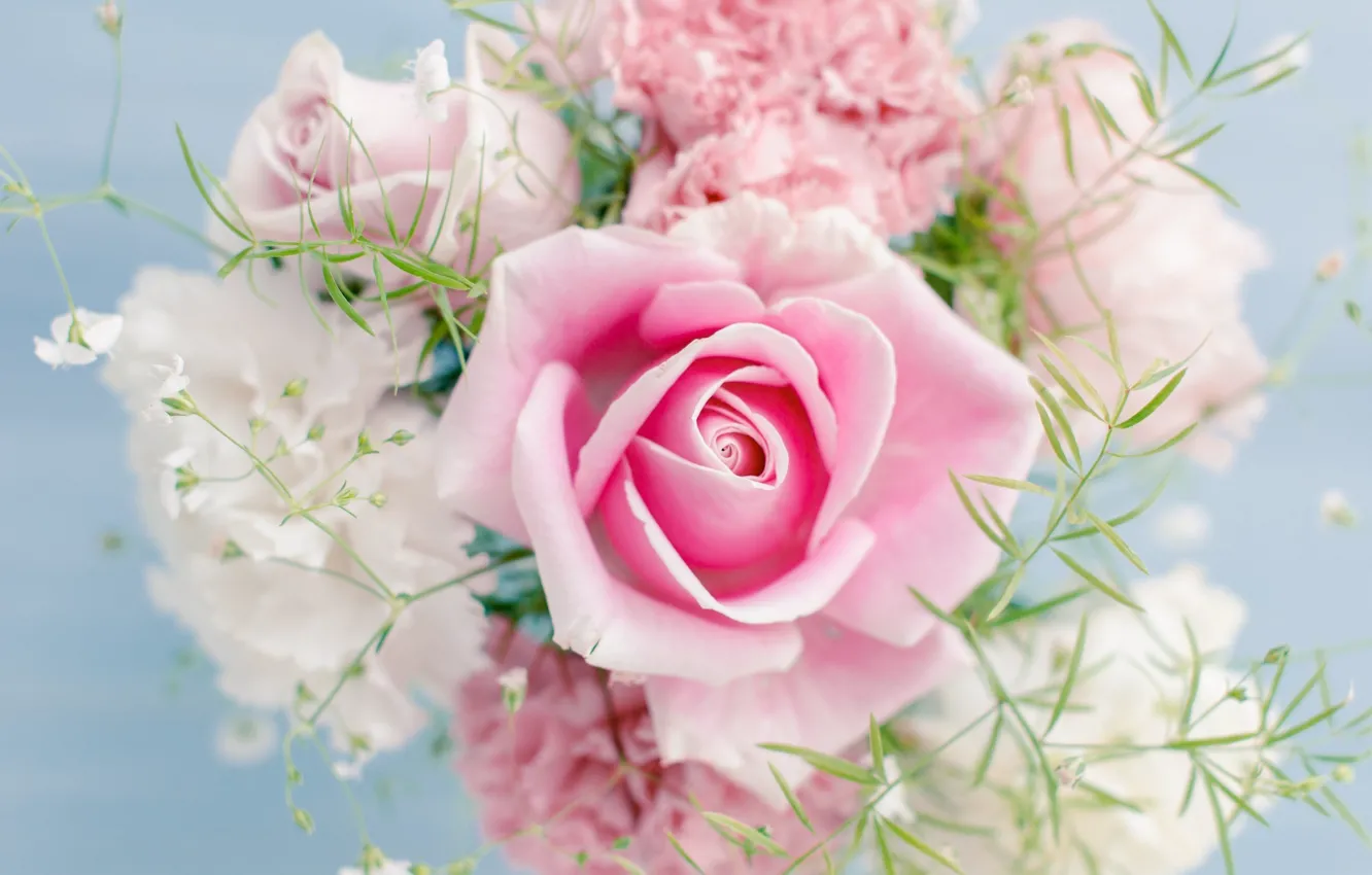 Wallpaper flowers, pink, rose, color, bouquet, light, rose, pink, flowers  images for desktop, section цветы - download