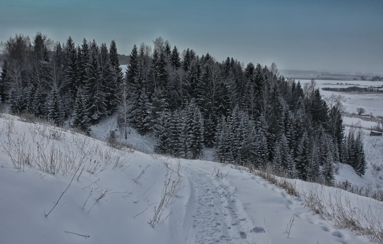 Photo wallpaper winter, the sky, trees, dal, Mountain, path, Ural