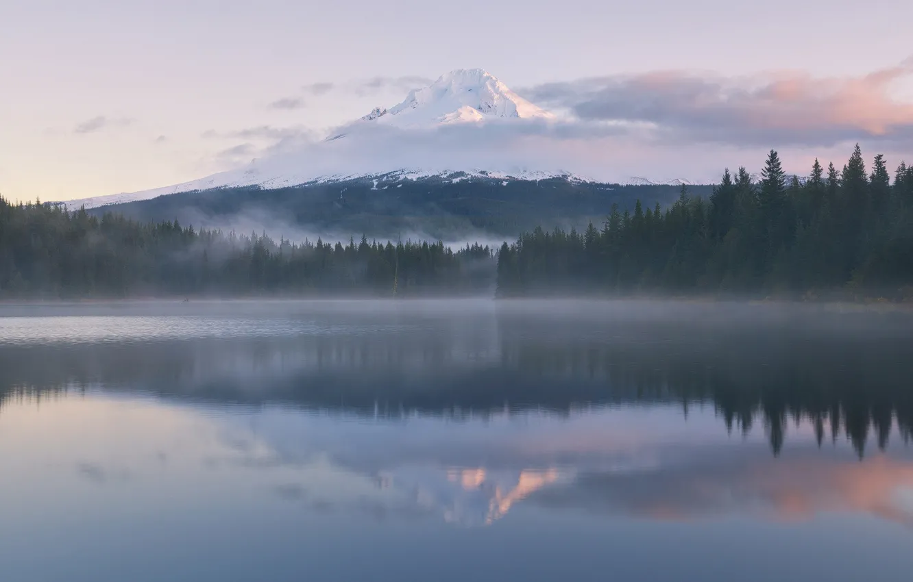 Photo wallpaper forest, reflection, fog, lake, mountain