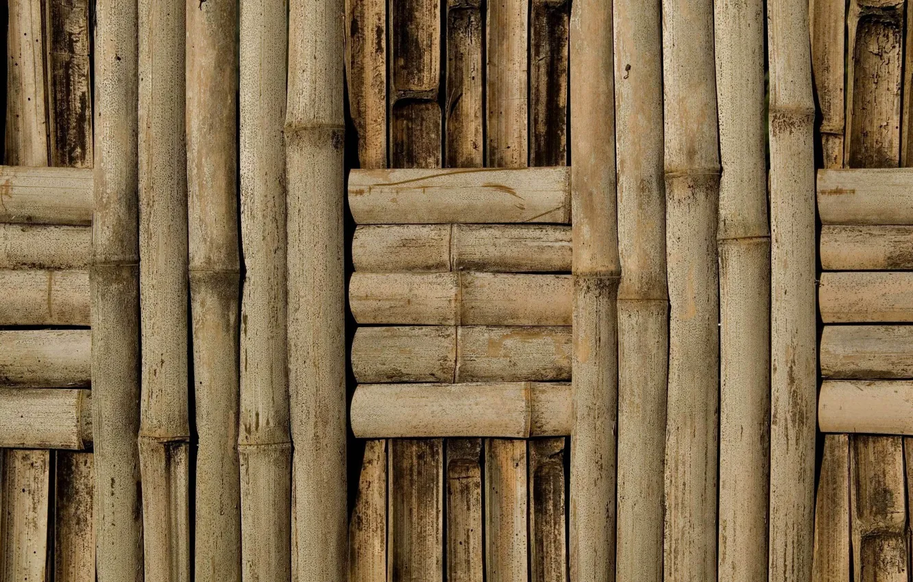 Wallpaper wall, pattern, bamboo images for desktop, section текстуры