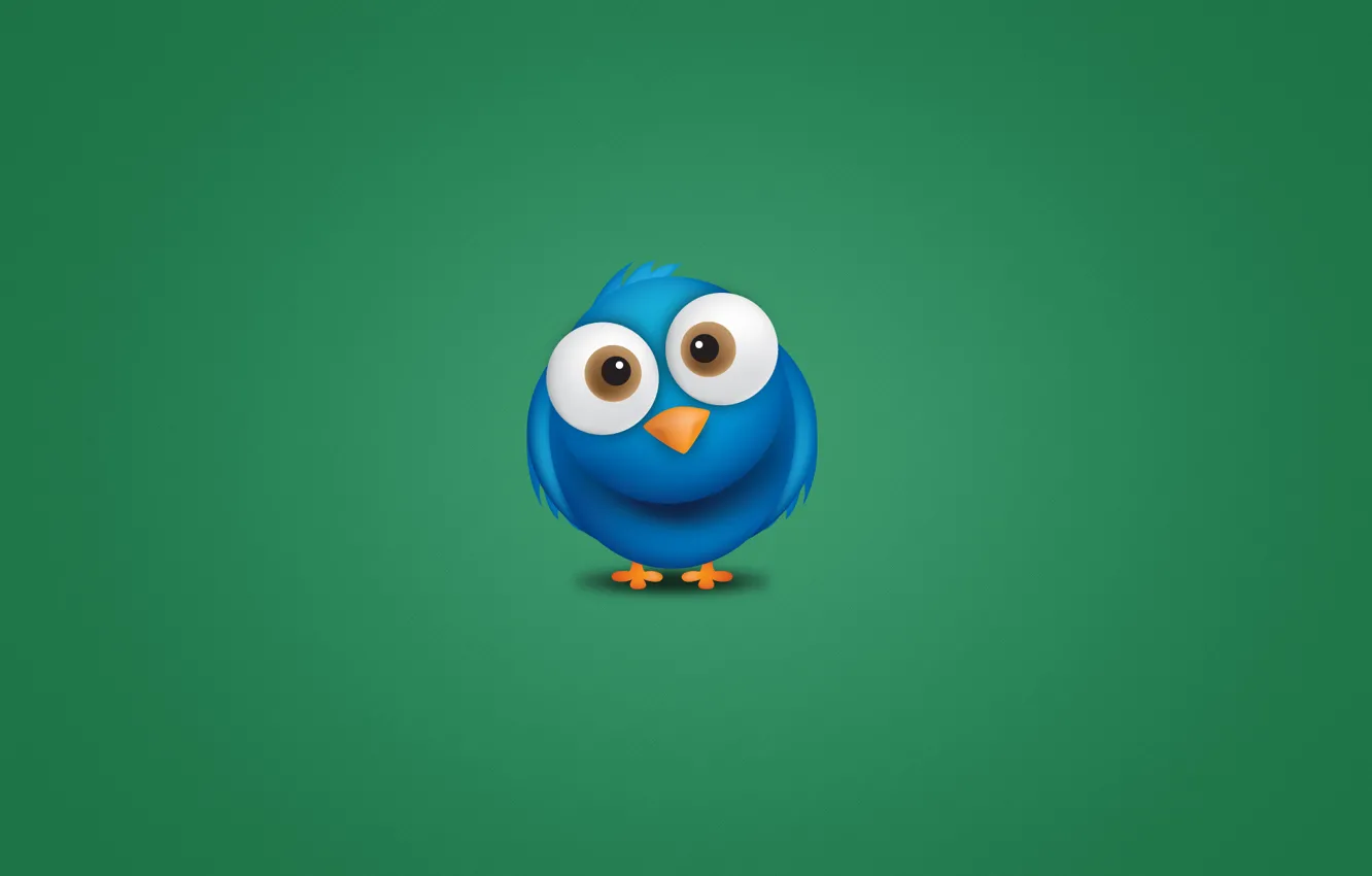 Photo wallpaper blue, animal, bird, minimalism, eyed, Twitter, bird