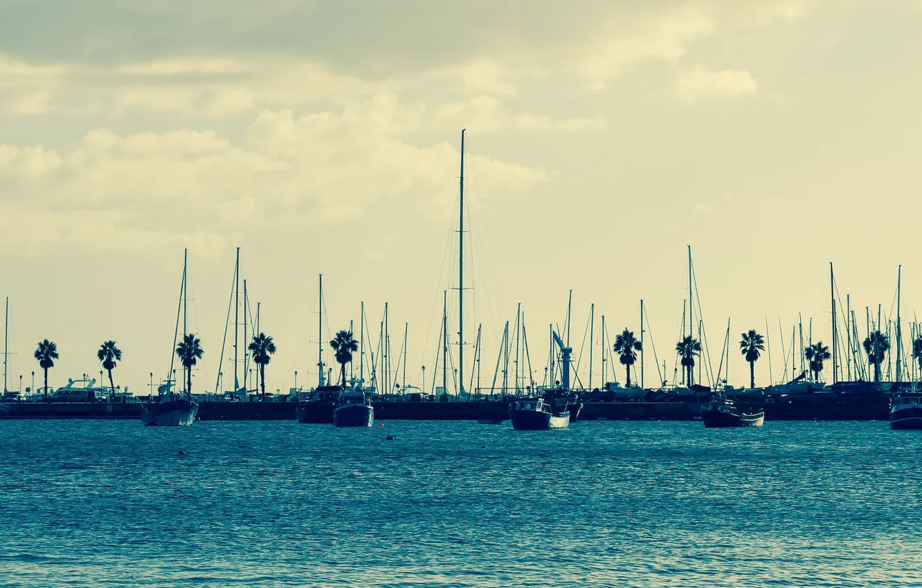 Wallpaper Marina, yachts, morning, California, San Diego ...
