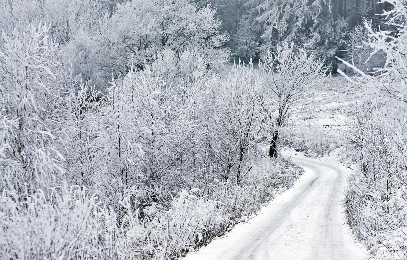 Photo wallpaper winter, frost, road, snow, trees, road, winter, snow, time of the year, Bartholomew Photography