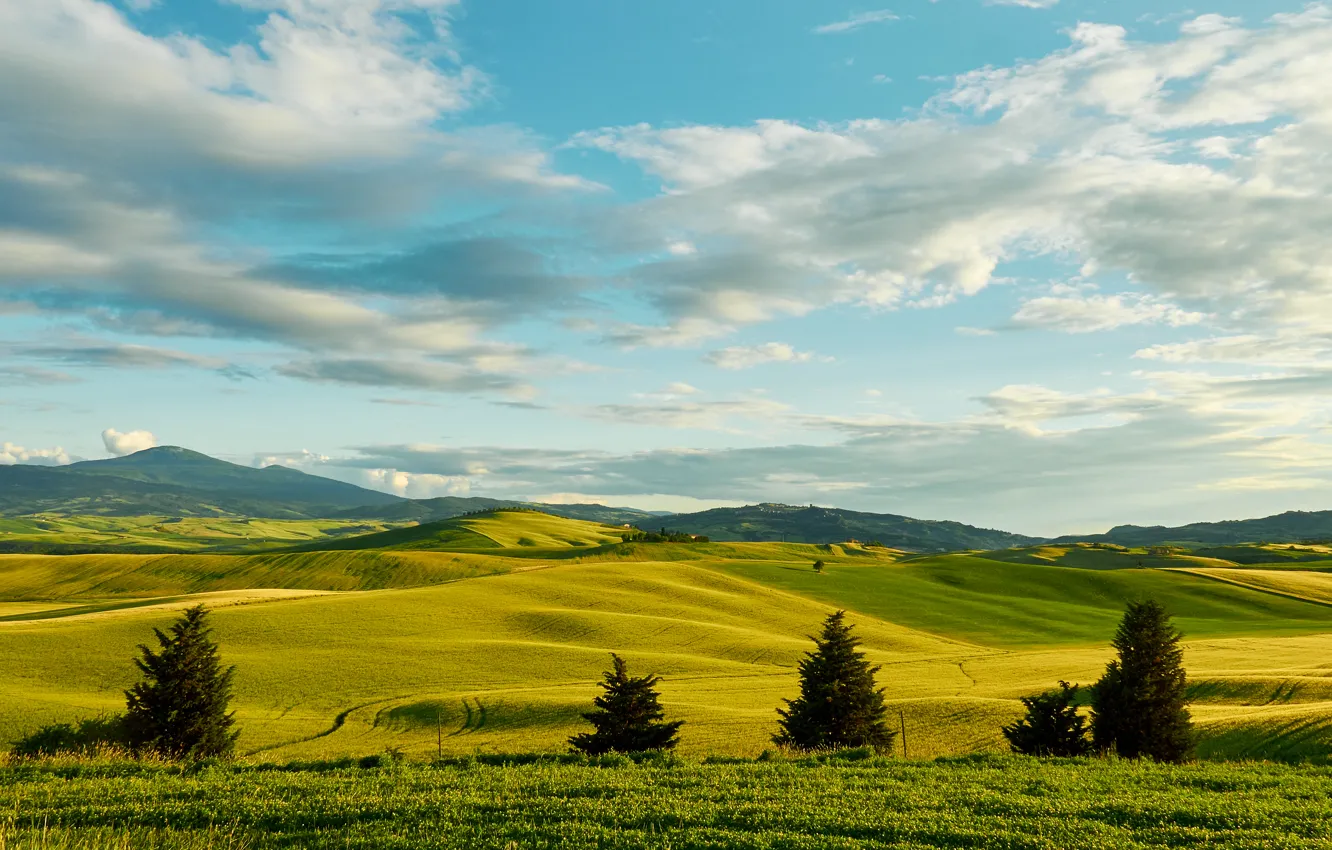 Photo wallpaper greens, the sky, grass, clouds, trees, hills, field, space, Italy, Tuscany