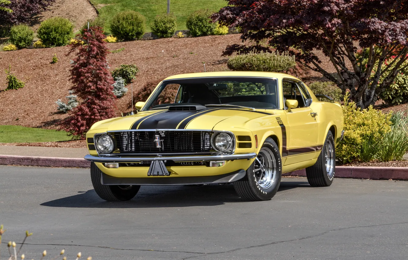 Photo wallpaper Mustang, Ford, Mustang, Boss 302, Ford, 1970