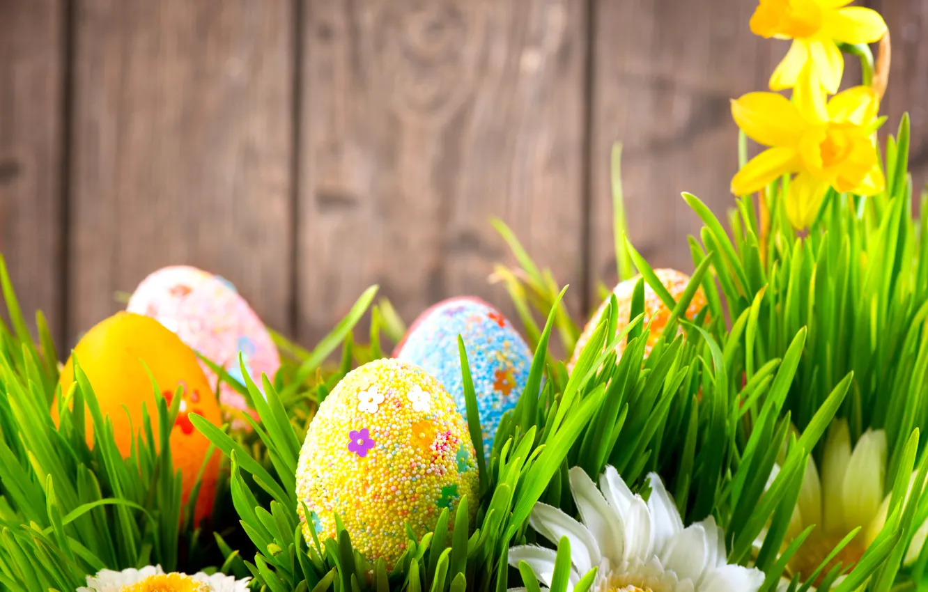 Photo wallpaper grass, flowers, wall, holiday, Board, chamomile, eggs, Easter, daffodils, Easter