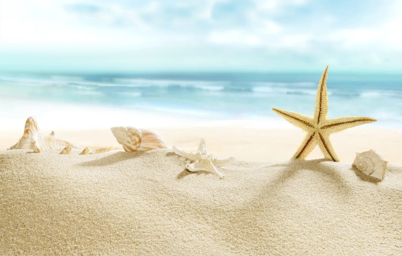 Photo wallpaper beach, sea, sun, sand, starfish, seashells