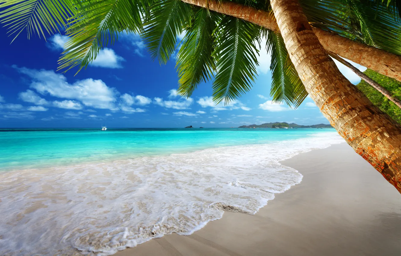 Photo wallpaper sand, sea, beach, the sun, tropics, palm trees, the ocean, shore, island, summer, beach, sea, …