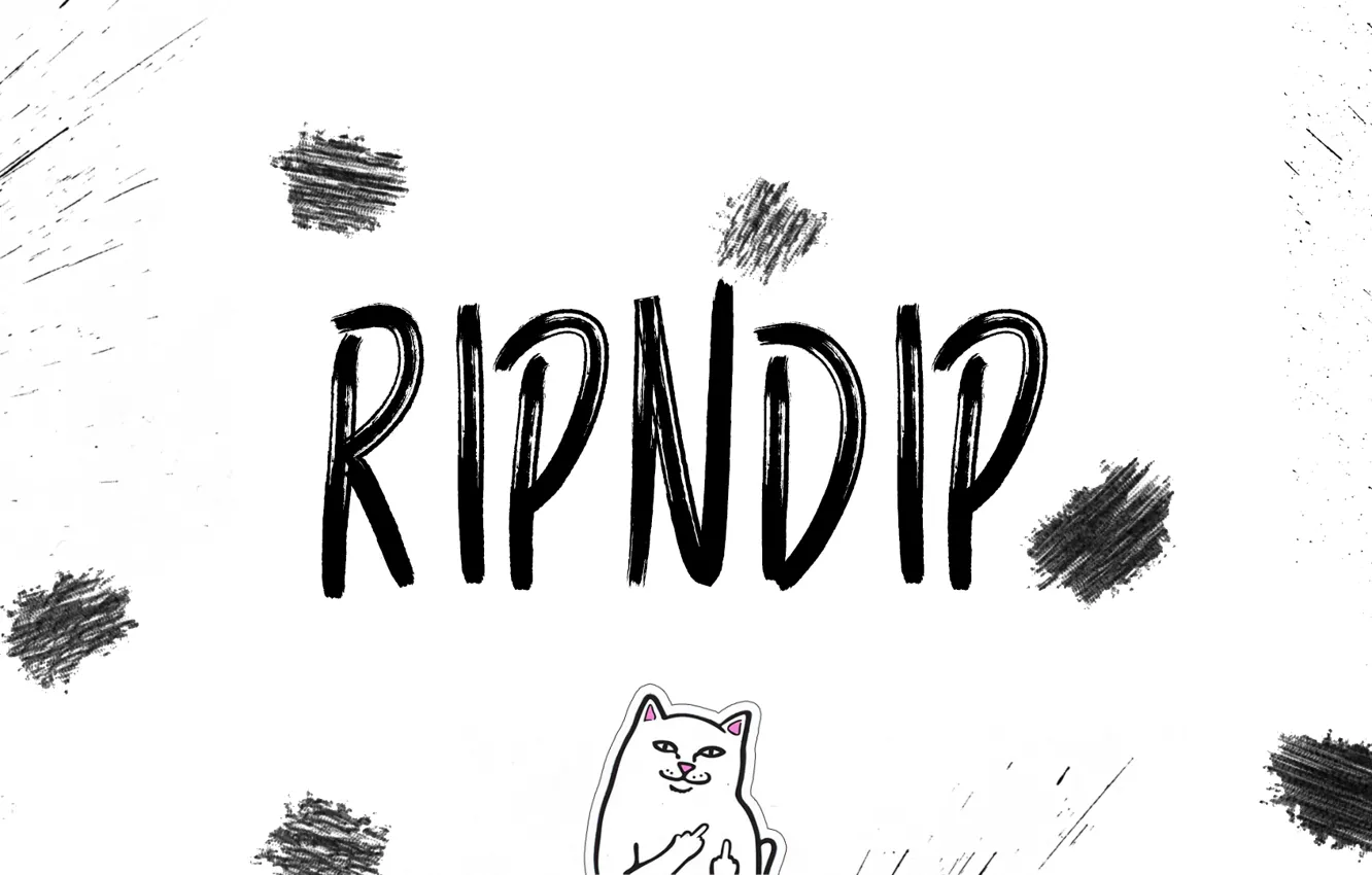 Wallpaper White Cat Squirt Cats White Background Firm Mark Ripndip Images For Desktop Section Minimalizm Download
