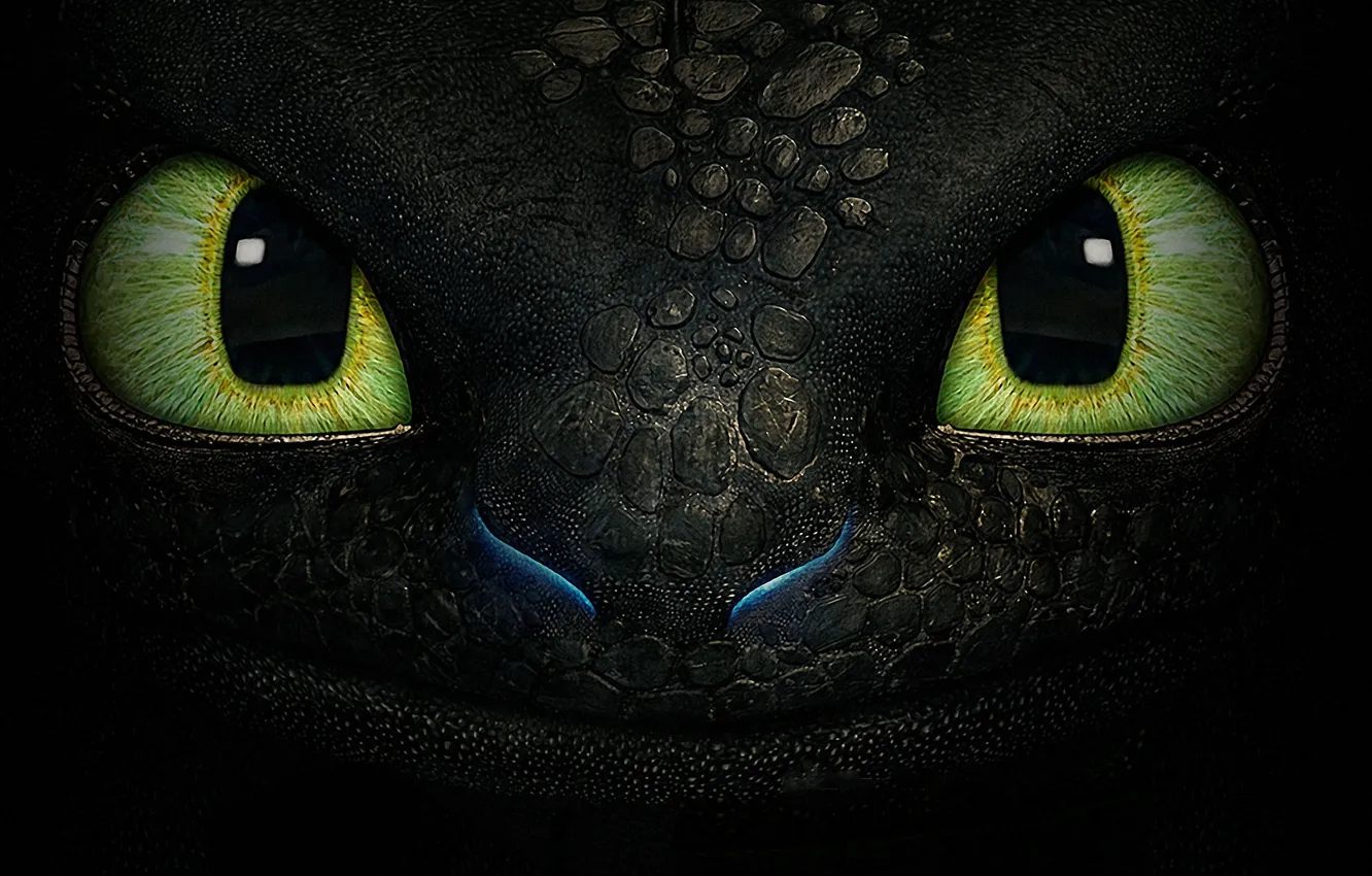 Wallpaper eyes, fantasy, dragon, cartoon, texture, toothless, the night  fury images for desktop, section фильмы - download