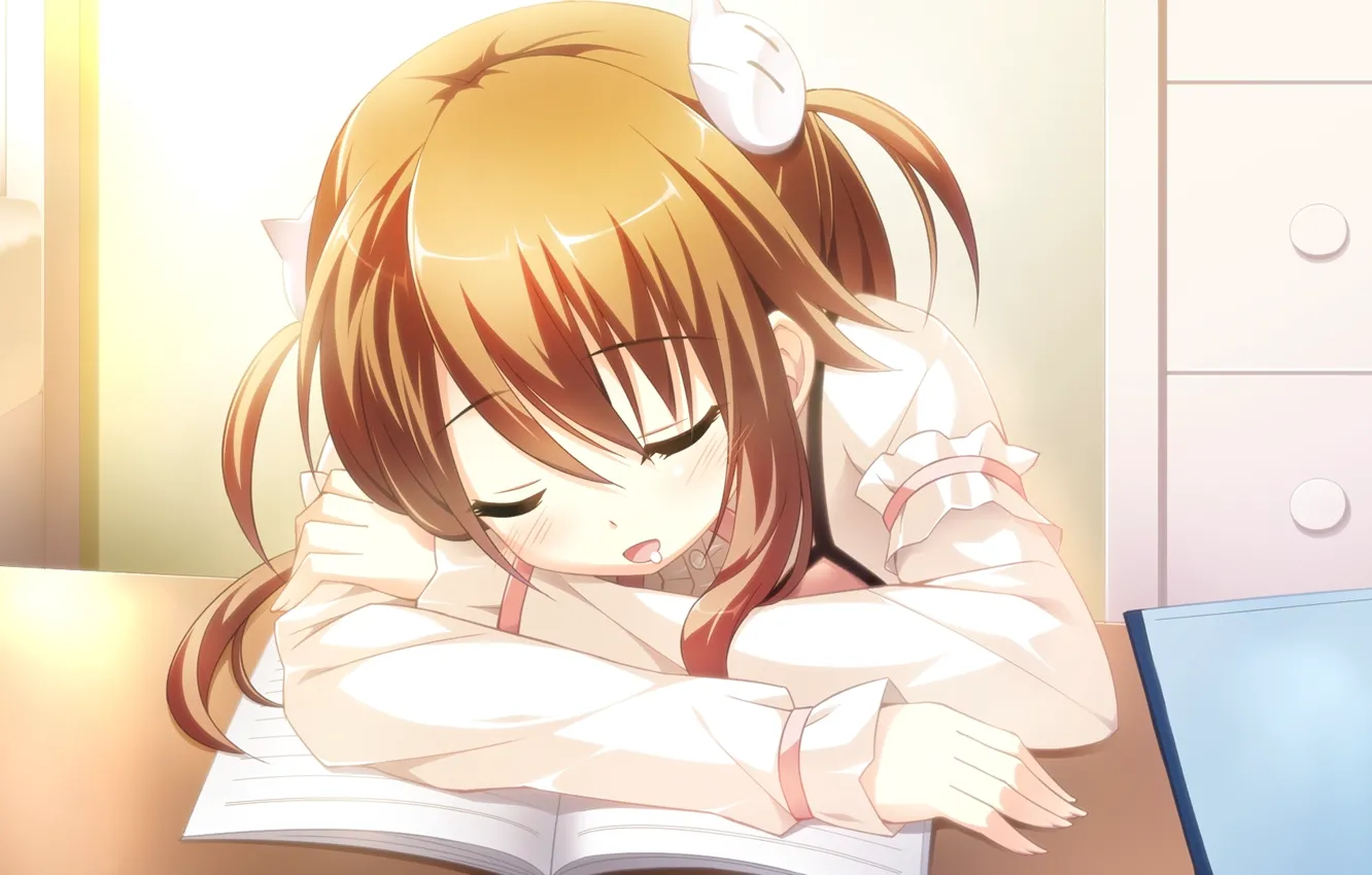 Photo wallpaper sleep, anime, book, lessons, art girl