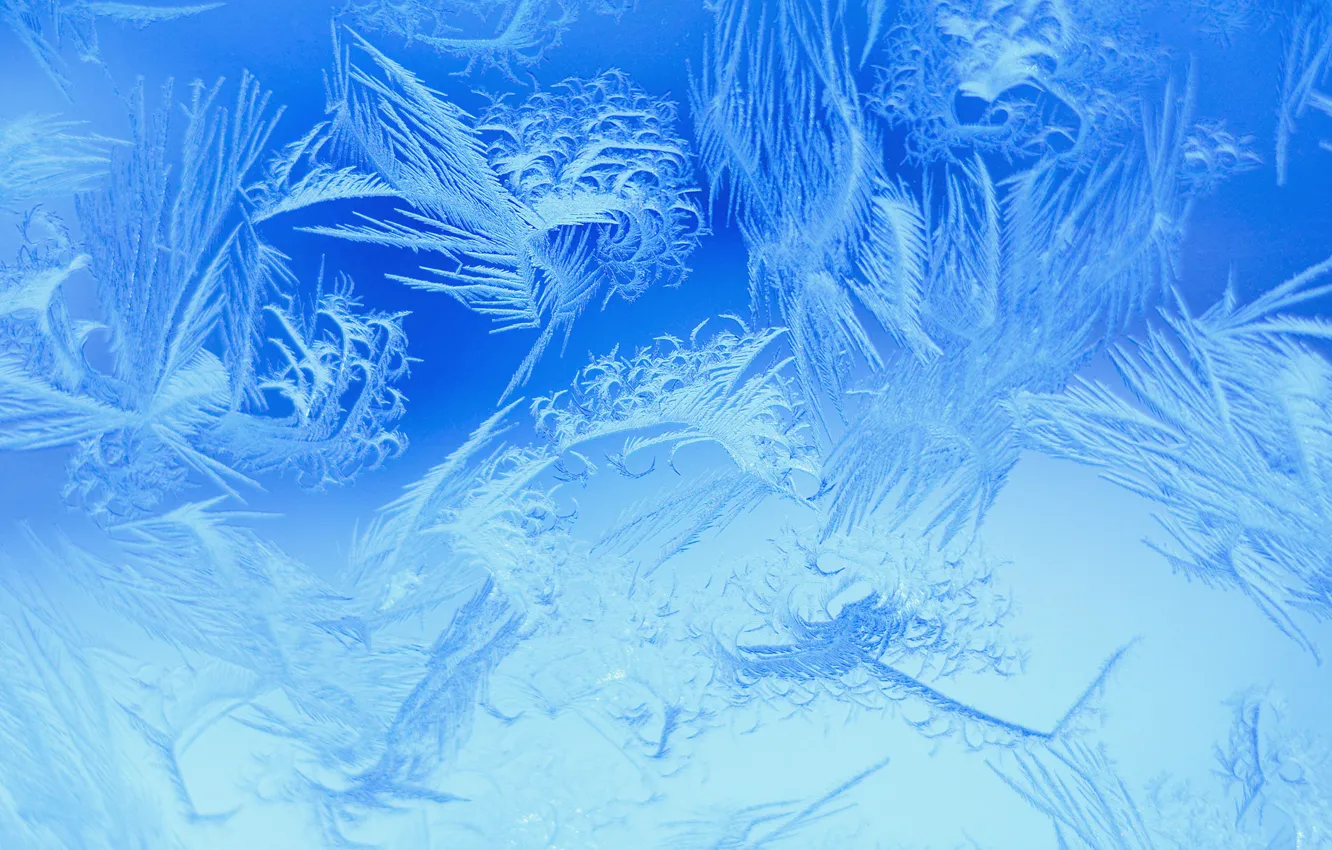 Photo wallpaper winter, snowflakes, pattern, frost, winter, froze, Snow crystals