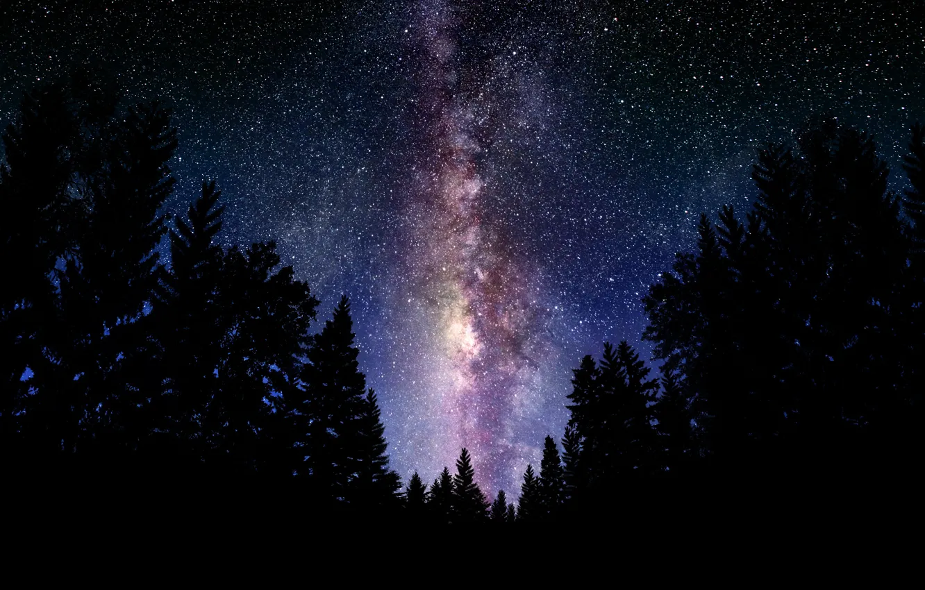 Photo wallpaper forest, the sky, space, night, landscapes, stars, the milky way