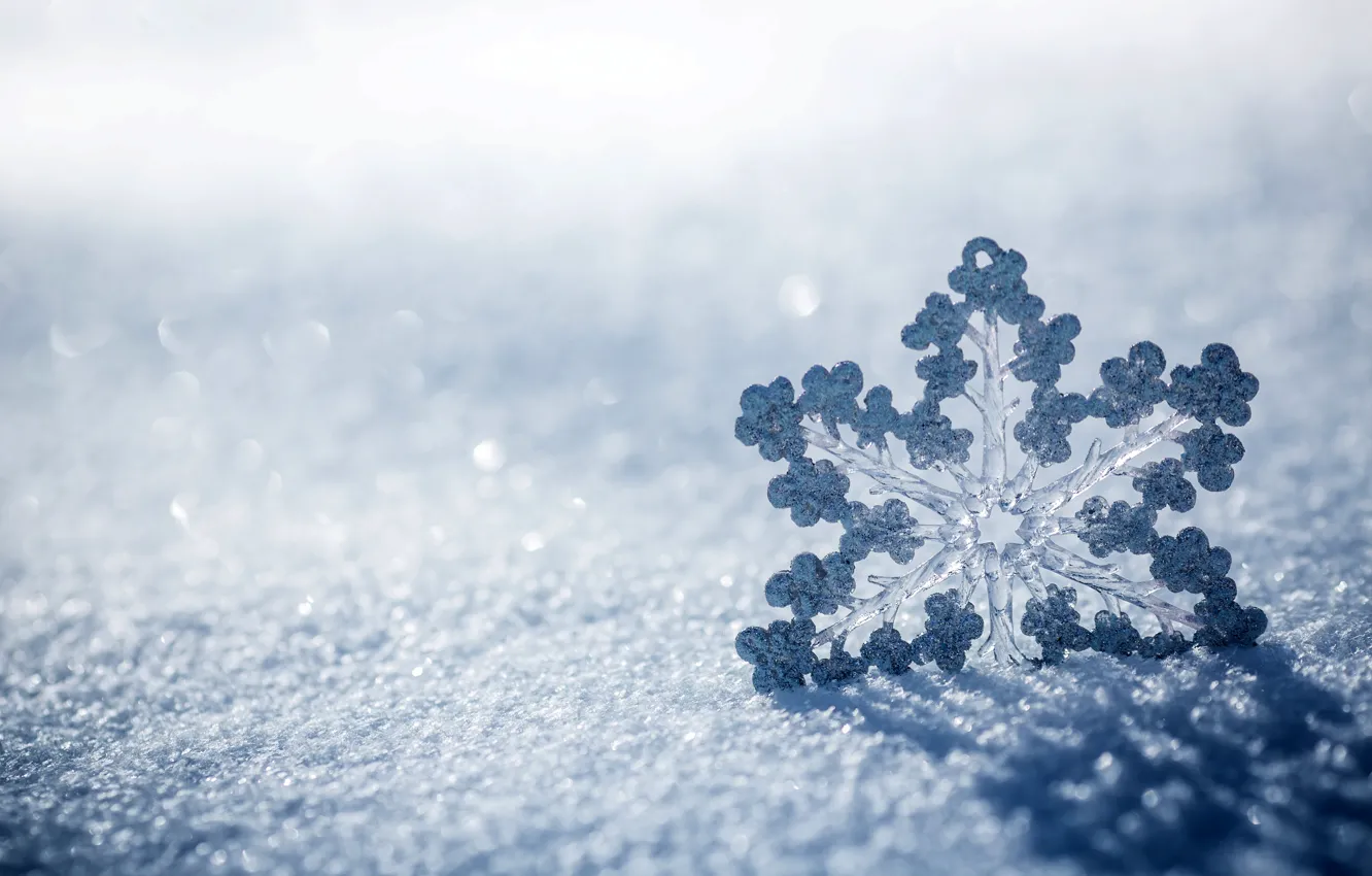 Photo wallpaper ice, winter, macro, snow, nature, snowflake