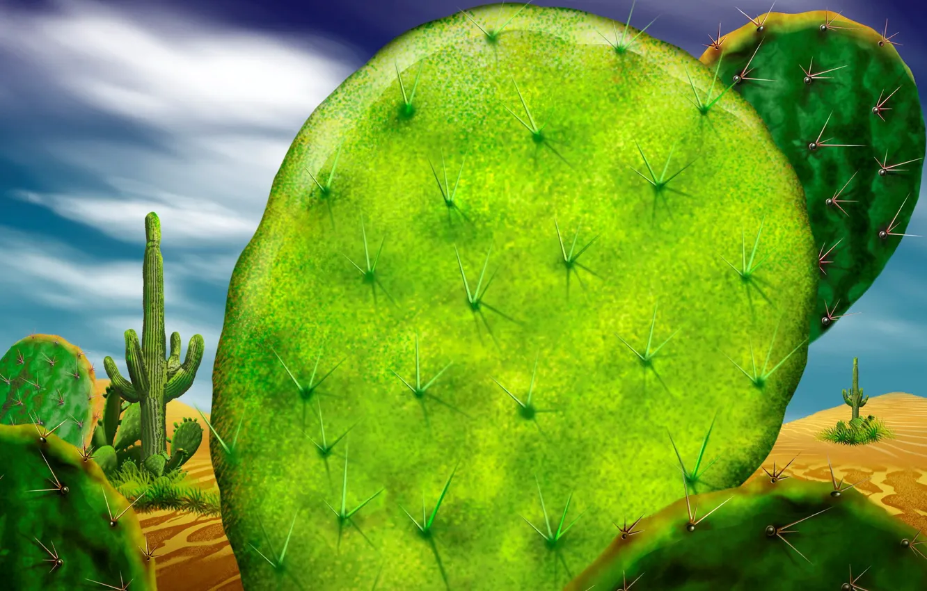 Wallpaper green, desert, cactus images for desktop, section природа -  download