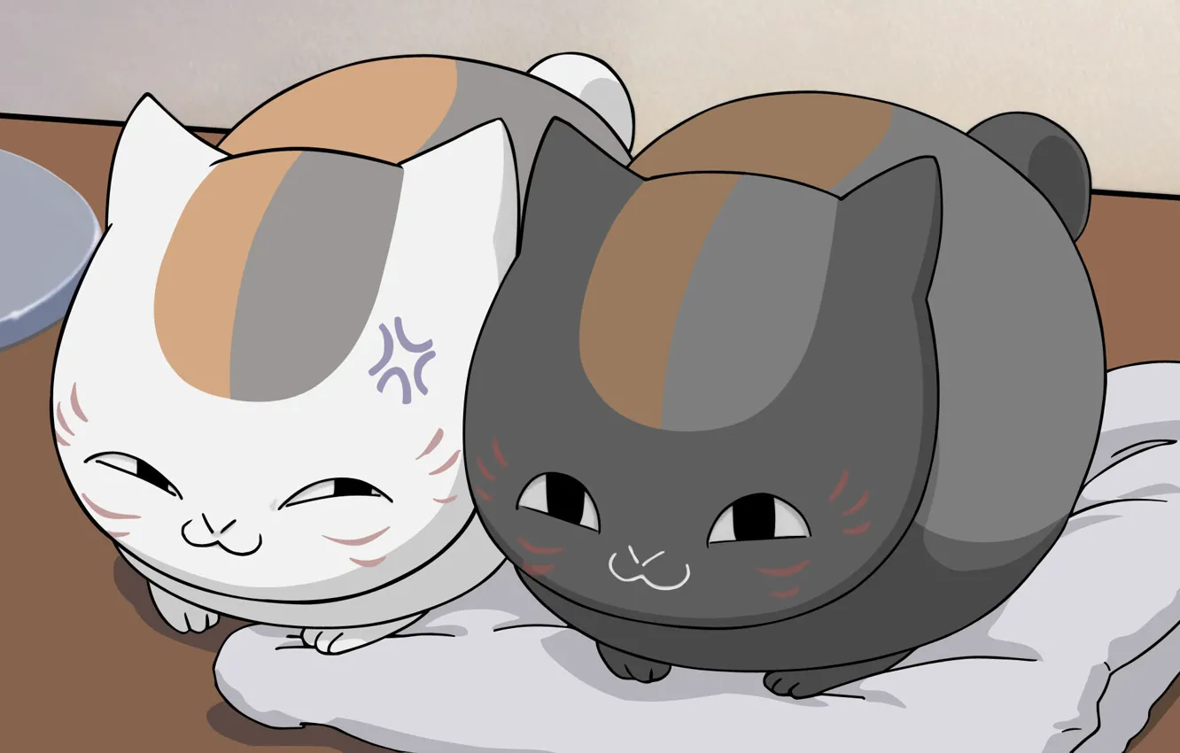 Photo wallpaper cats, anime, black, white, grey, Kawai, two, sitting, narro...