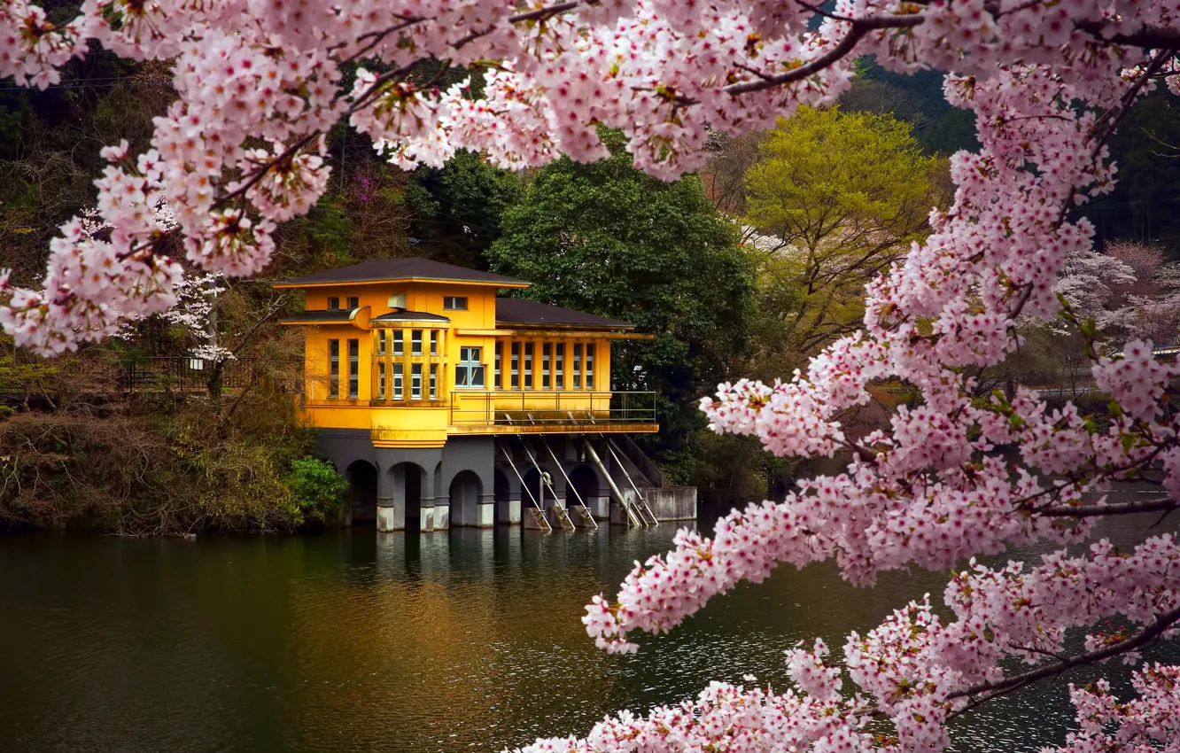 Japan Color Moroyama Lake Prefecture April