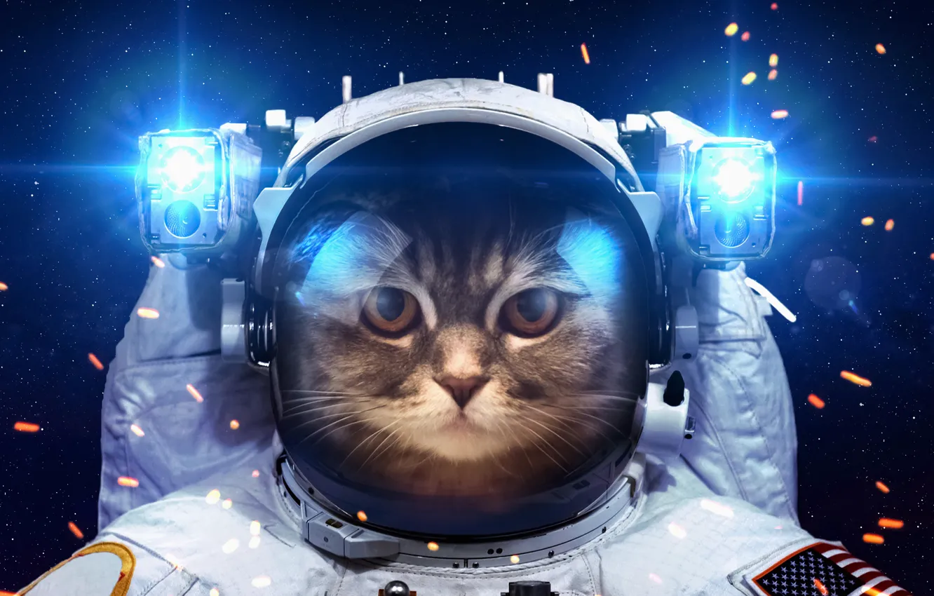 Photo wallpaper cat, space, light, humor, astronaut, the suit, lanterns