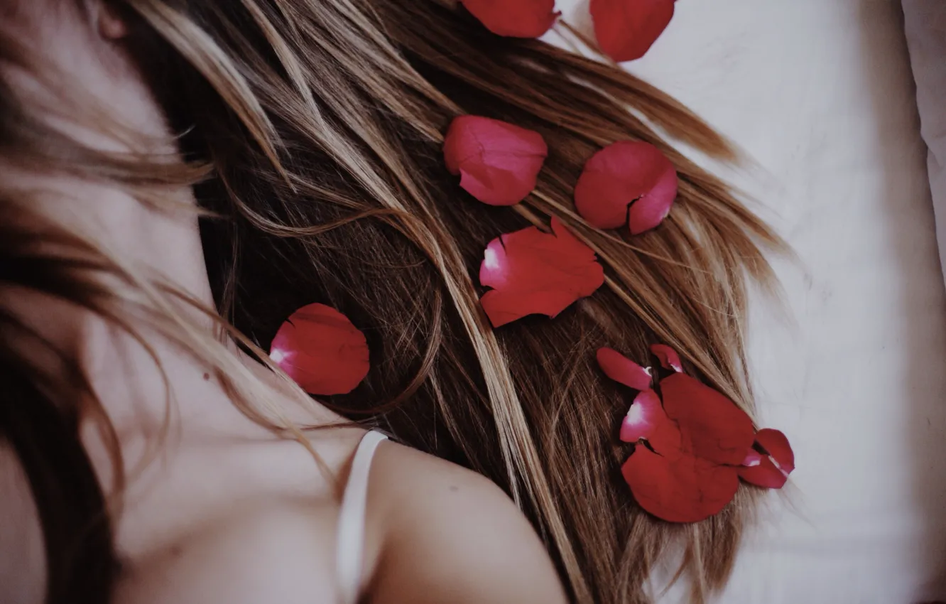 Photo wallpaper girl, hair, petals