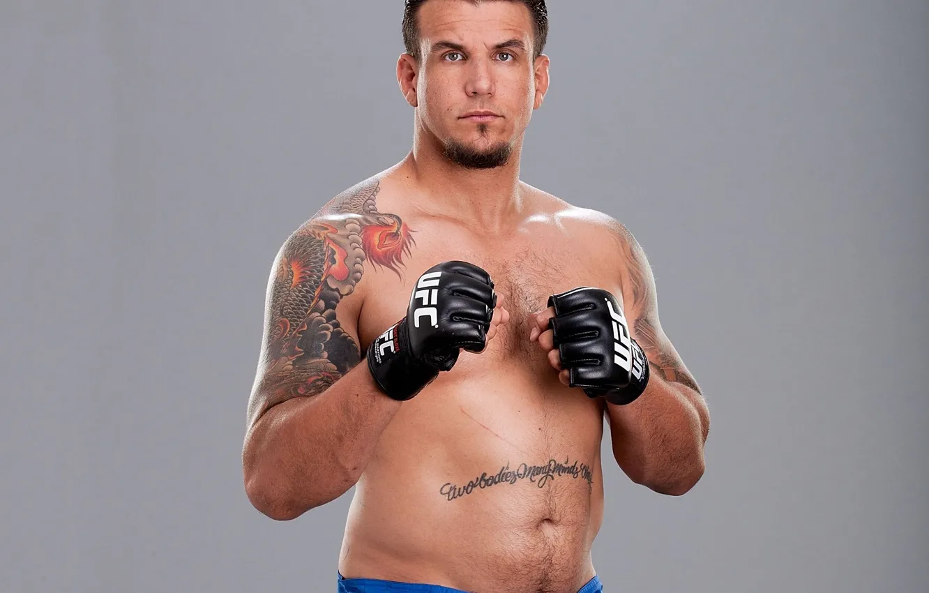 Wallpaper tattoo, fighter, fighter, tattoo, mma, ufc, mixed martial arts,  frank Mir images for desktop, section спорт - download