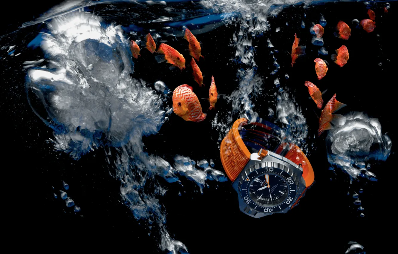 Wallpaper Water Watch Omega Seamaster 10m Ploprof Images For Desktop Section Hi Tech Download