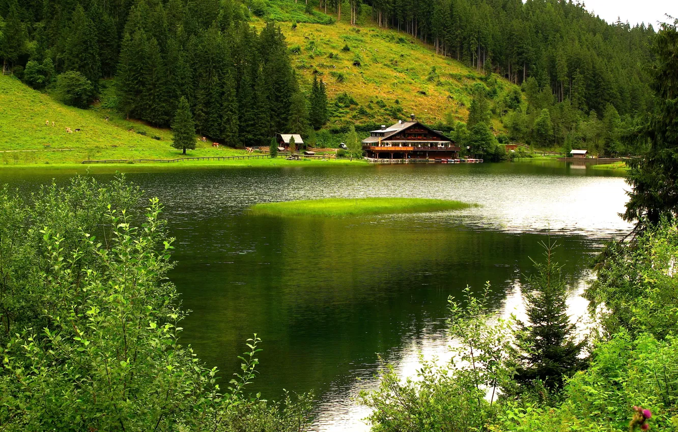 Photo wallpaper trees, mountains, nature, house, river, boats, pasture.
