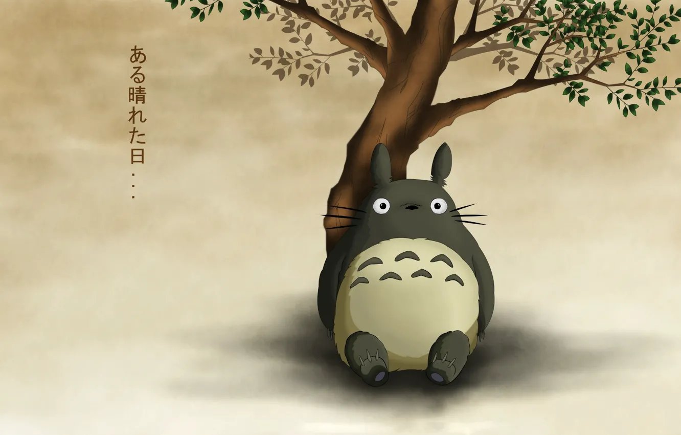 Photo wallpaper sitting, my neighbor Totoro, tonari no totoro