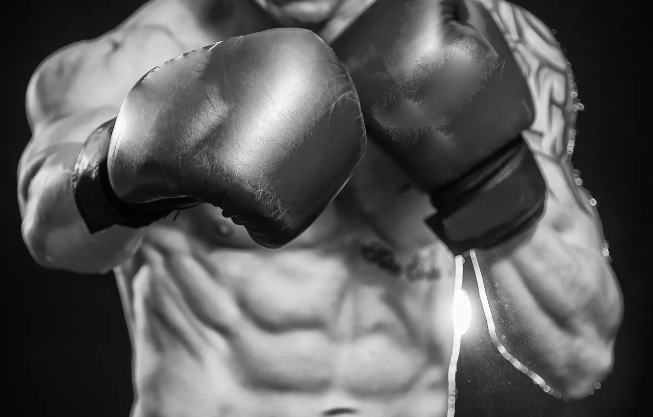 Wallpaper boxing, gloves, abs images for desktop, section спорт - download