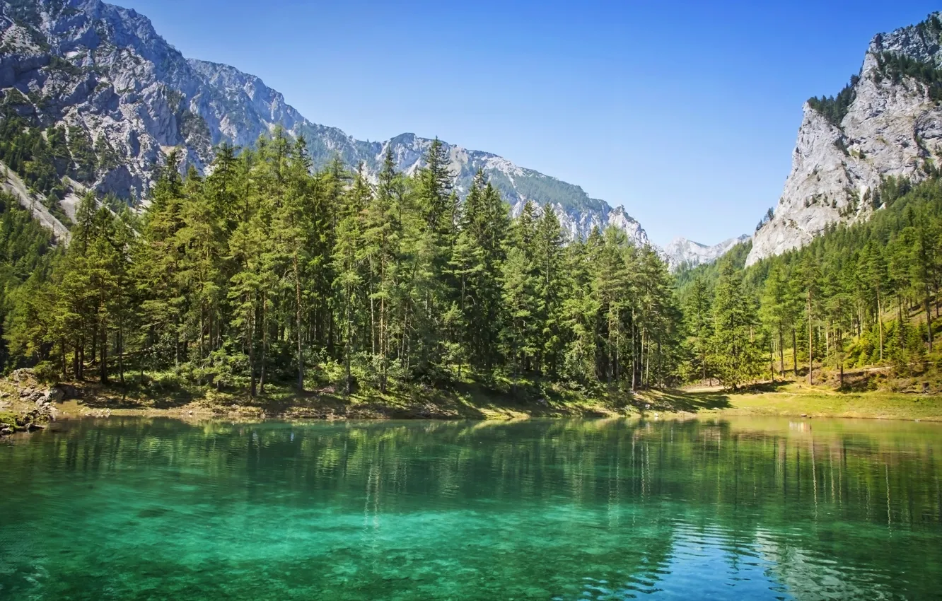 Photo wallpaper forest, mountains, nature, lake, tree, forest, nature, mountains, lake, tree