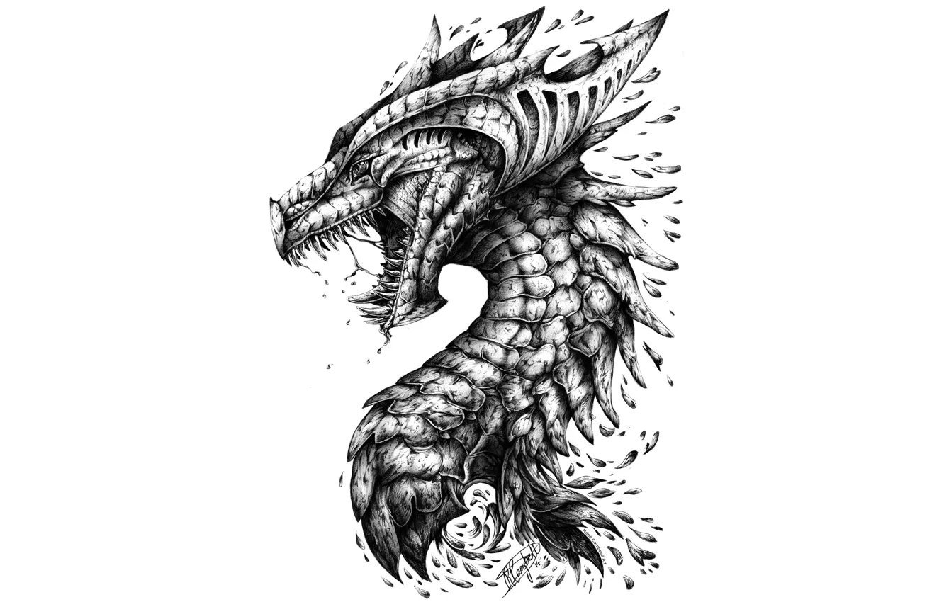 Wallpaper dragon, head, teeth, scales images for desktop, section  минимализм - download