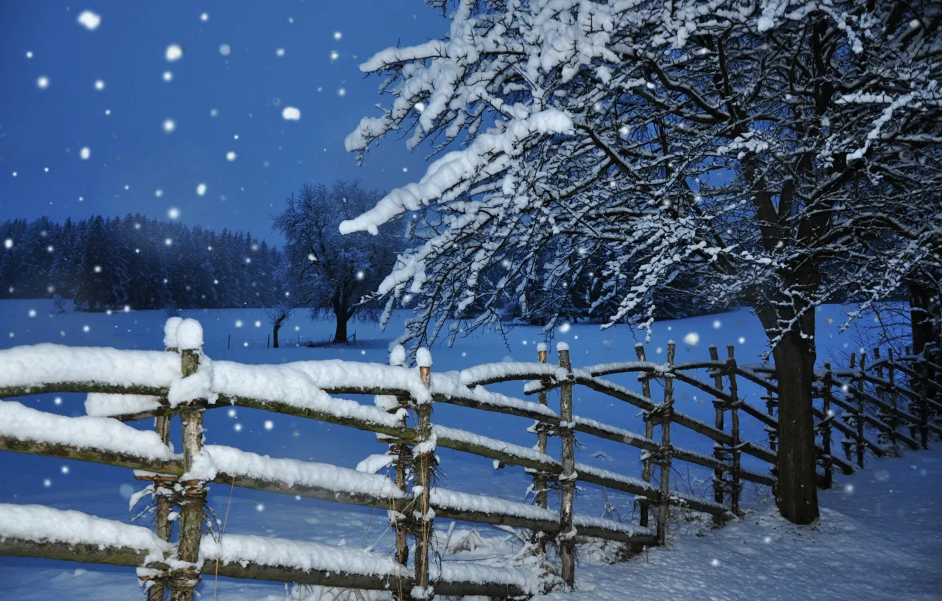 Wallpaper winter, snow, tree, the fence, the evening, twilight, snowfall  images for desktop, section пейзажи - download