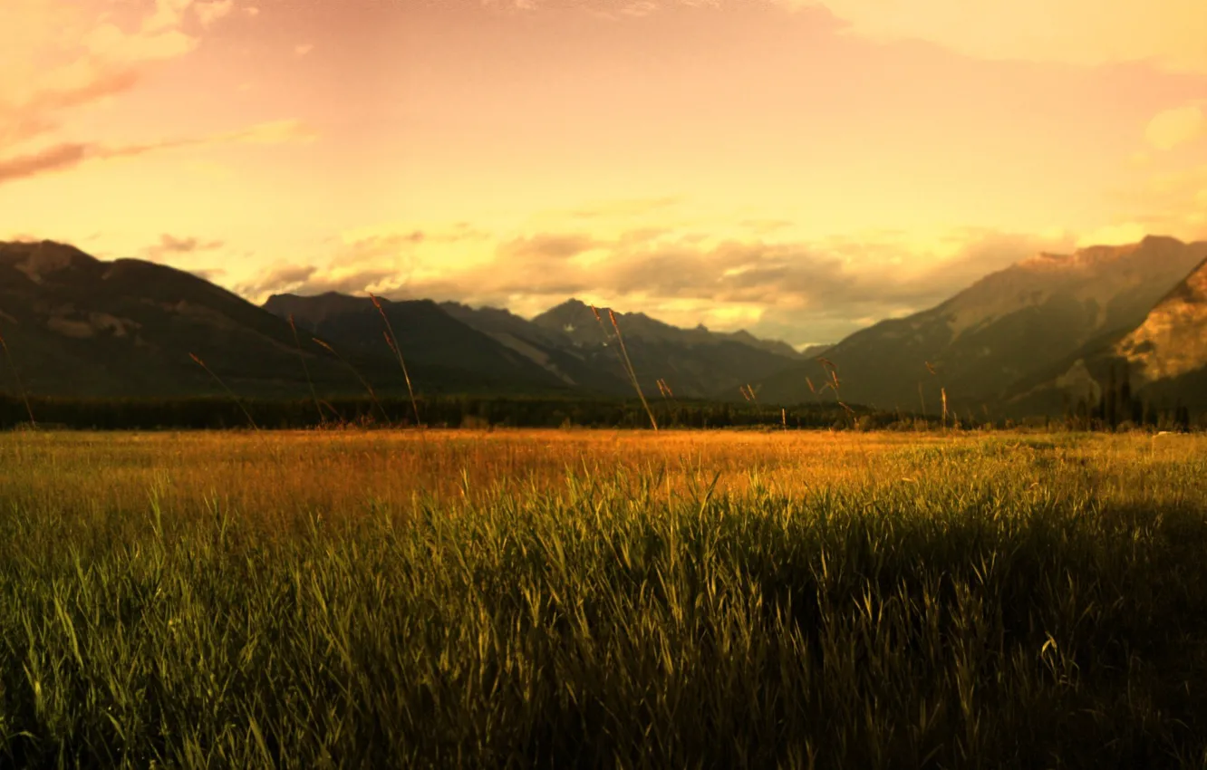 Photo wallpaper field, mountains, sunrise