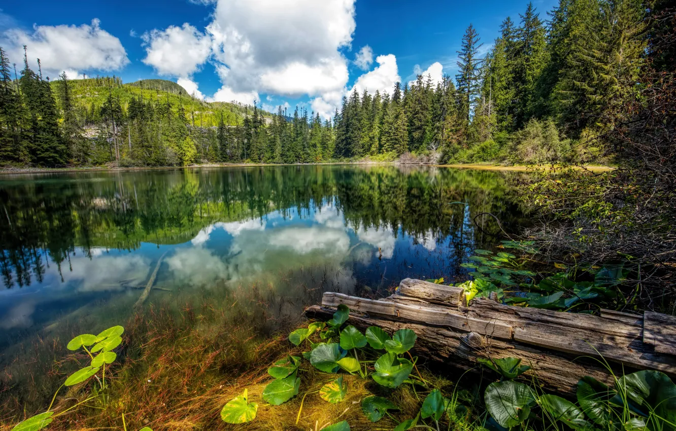 Photo wallpaper Nature, Clouds, Lake, Forest, Canada, Spruce, Landscape, Hadikin Lake