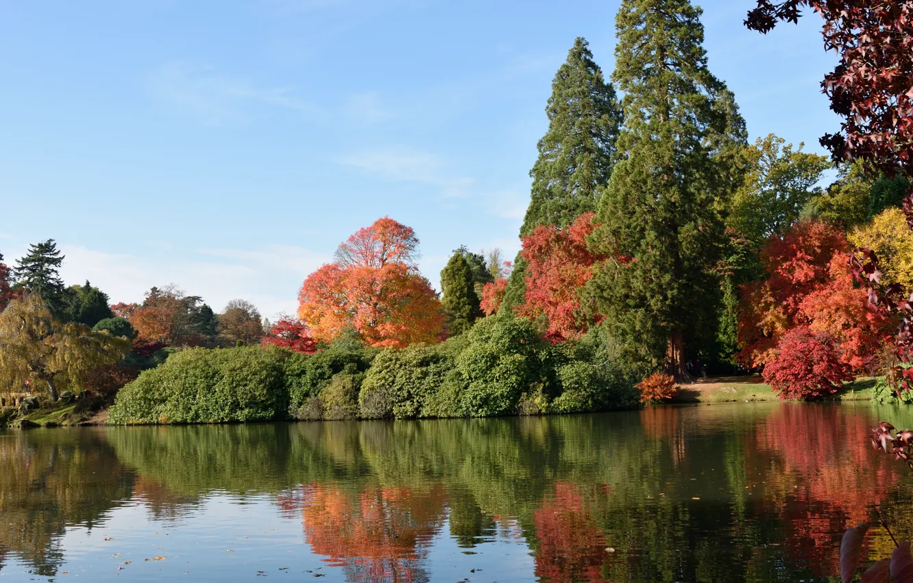 Photo wallpaper autumn, lake, England, colors, autumn, lake, England, Sheffield park, Park Sheffield