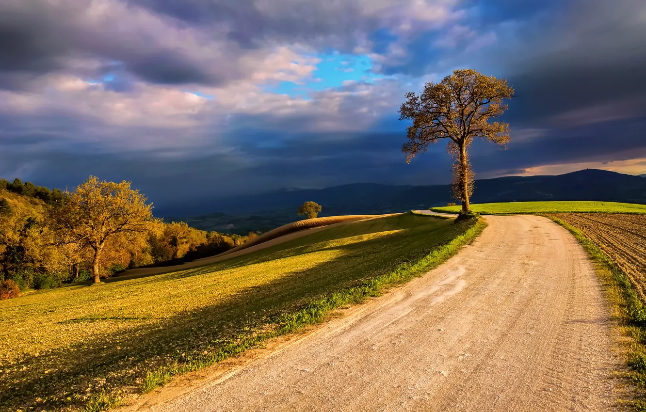 Photo wallpaper the sky, clouds, light, clouds, nature, tree, field, Italy