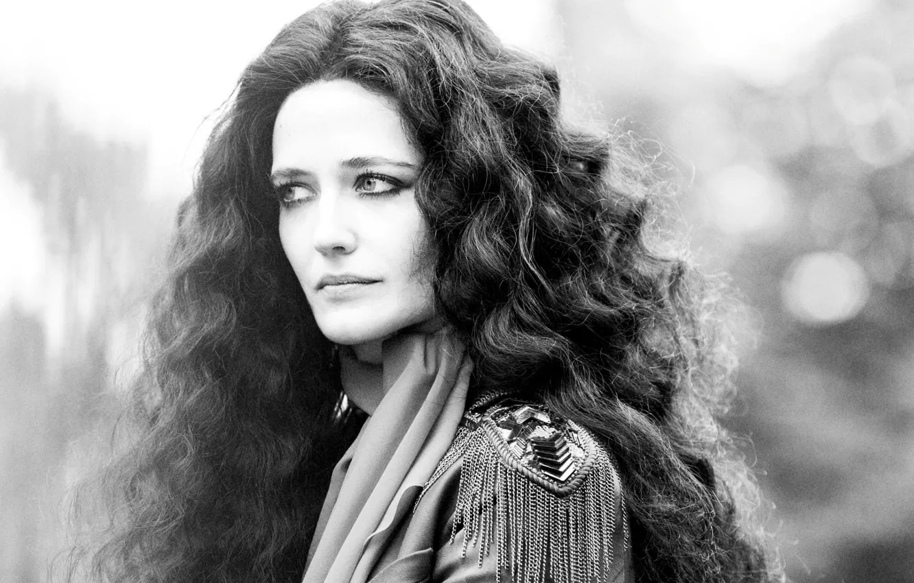 Wallpaper actress, black and white, curls, Eva Green, Eva Green images for  desktop, section девушки - download