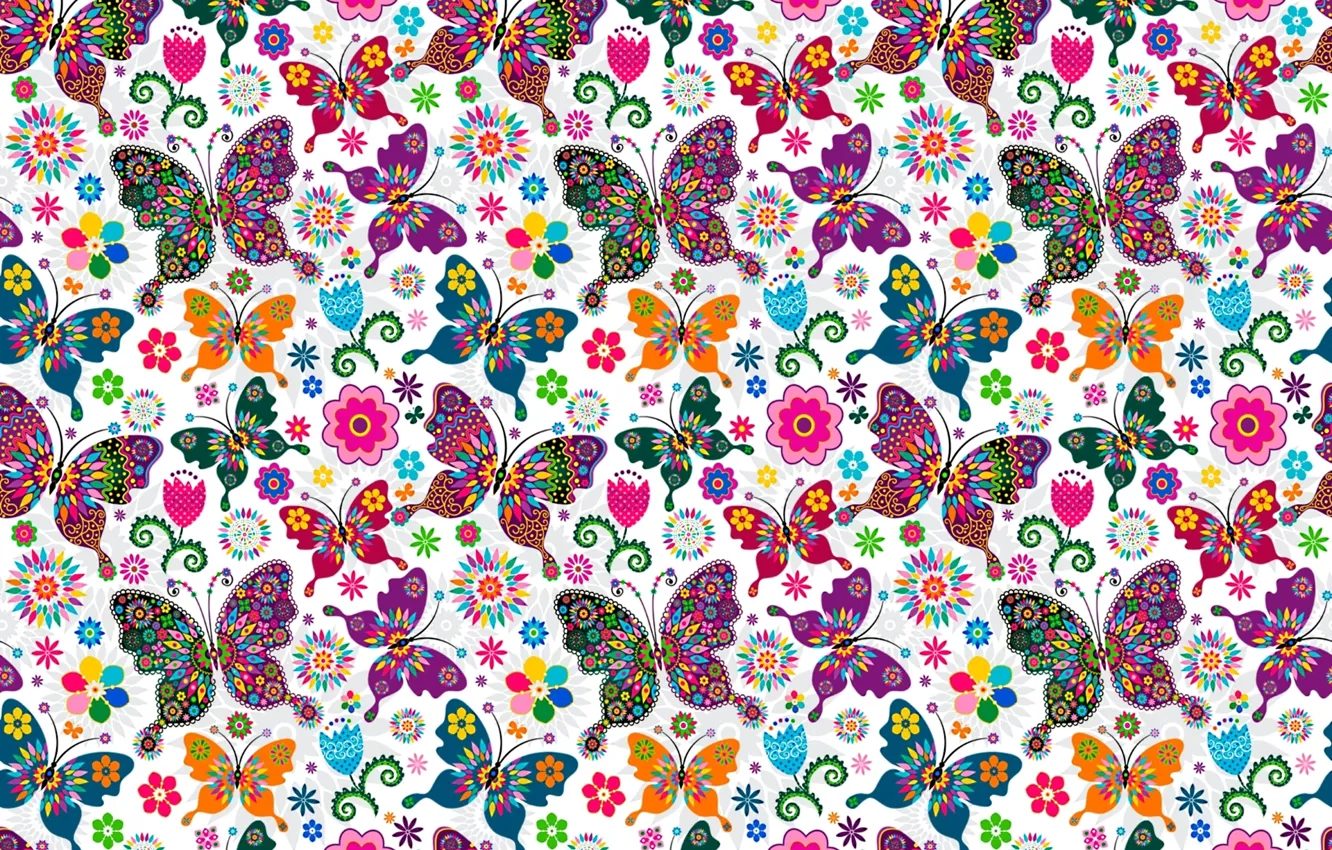 Wallpaper butterfly, pattern, wings images for desktop, section текстуры -  download