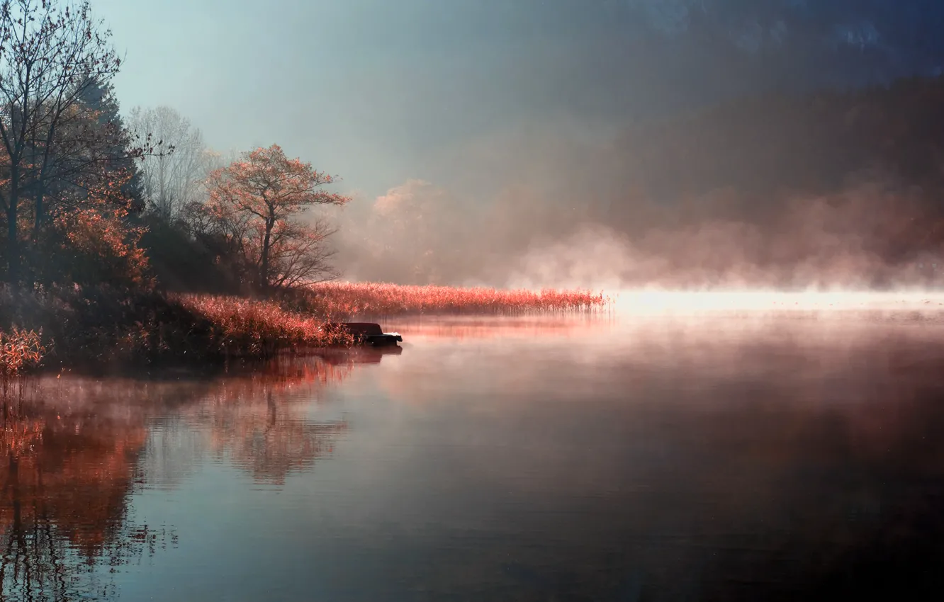 Photo wallpaper autumn, nature, fog, lake, river, shore, morning, couples