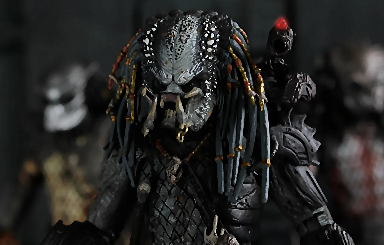 Wallpaper background, predator, being, Predator, thing images for