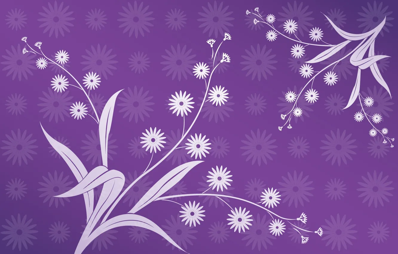 Photo wallpaper leaves, flowers, abstraction, Wallpaper, purple background