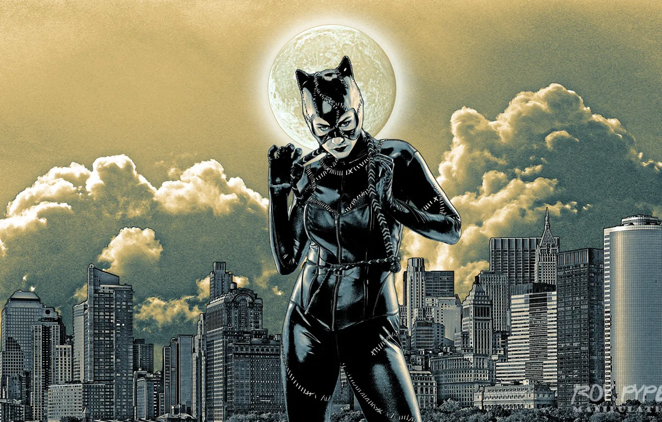 Catwoman Comics DC Selina Kyle Silk Poster Wallpaper 24 X 14 inch 