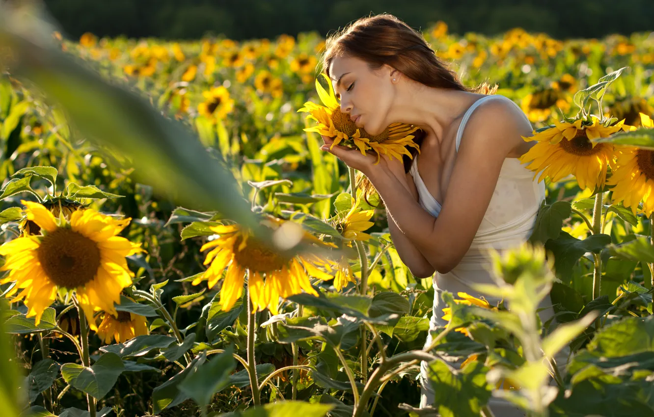 Photo wallpaper field, girl, sunflowers
