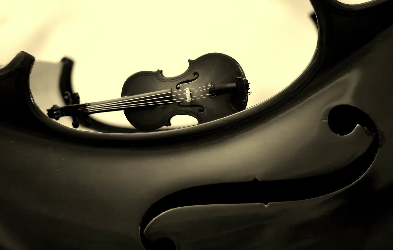 Wallpaper music, background, violin images for desktop, section музыка -  download